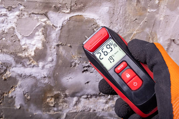 Best HVAC Mold Remediation in Sebewaing, MI
