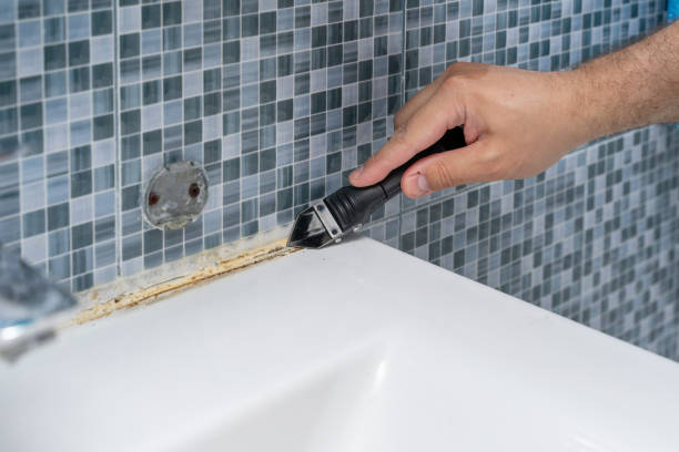 Best Basement Mold Remediation in Sebewaing, MI