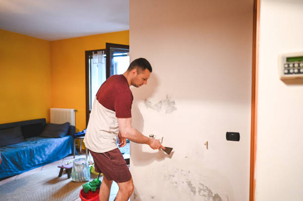 Best Crawl Space Mold Remediation in Sebewaing, MI
